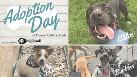 Pet-Adoption-Day-Key-To-Happiness-Resuce-PAC
