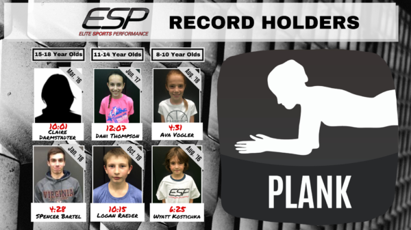 ESP Record Board - Plank