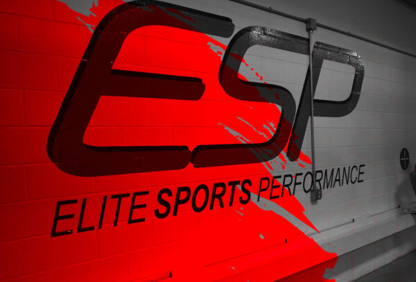 Elite Sports Performance - ESP 2021 New Athlete and Baseball Programs at Prairie Athletic Club (4)